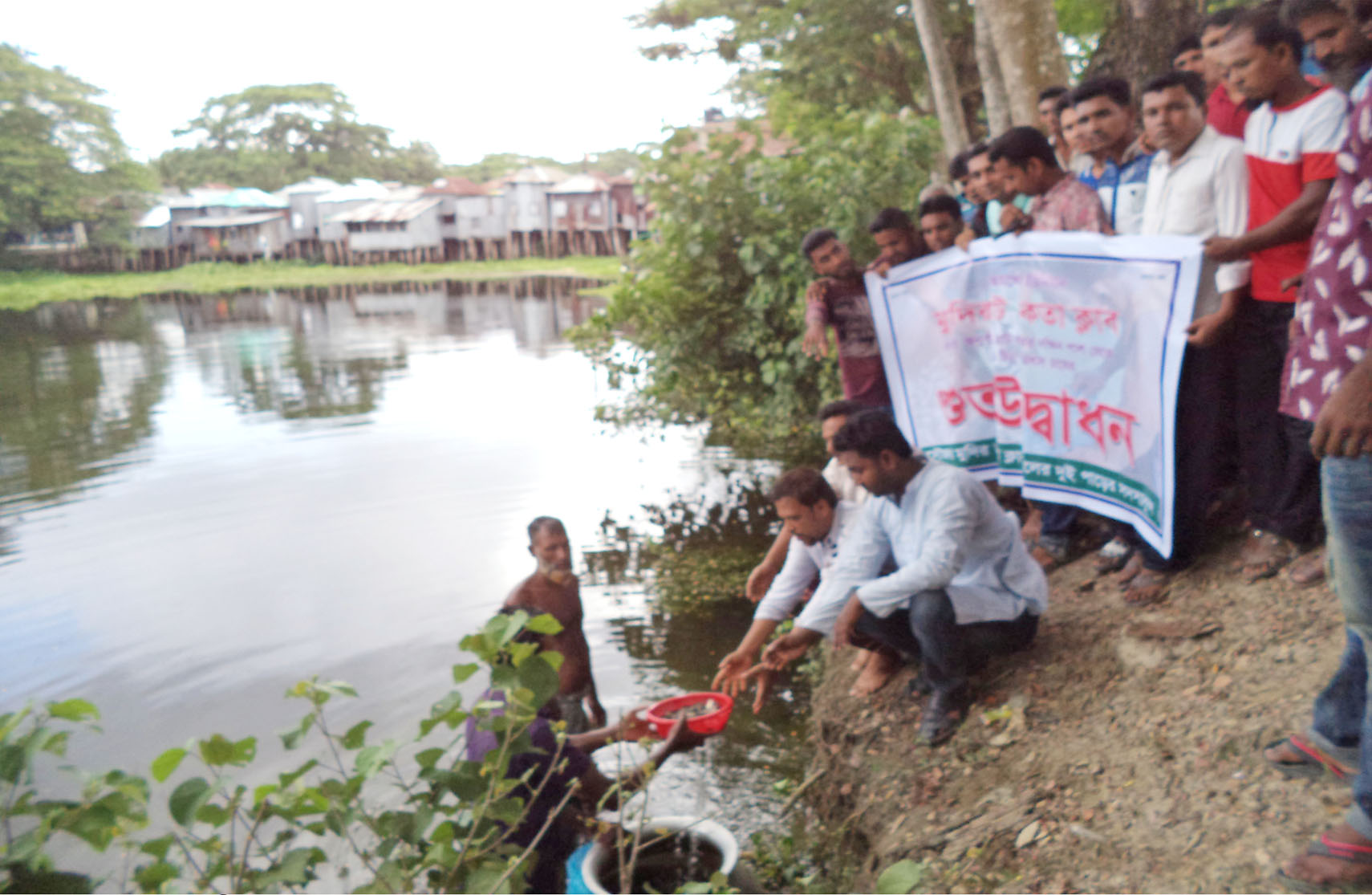 আমিষ উৎপাদনে মাছ চাষে নেমেছে মুদির হাট একতা ক্লাবের সদস্যরা