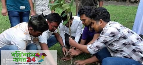 গলাচিপায় শেখ হাসিনার ৭৩ তম জন্মদিন উপলক্ষে গলাচিপা উপজেলা ছাত্রলীগের বৃক্ষ রোপন কর্মসূচী