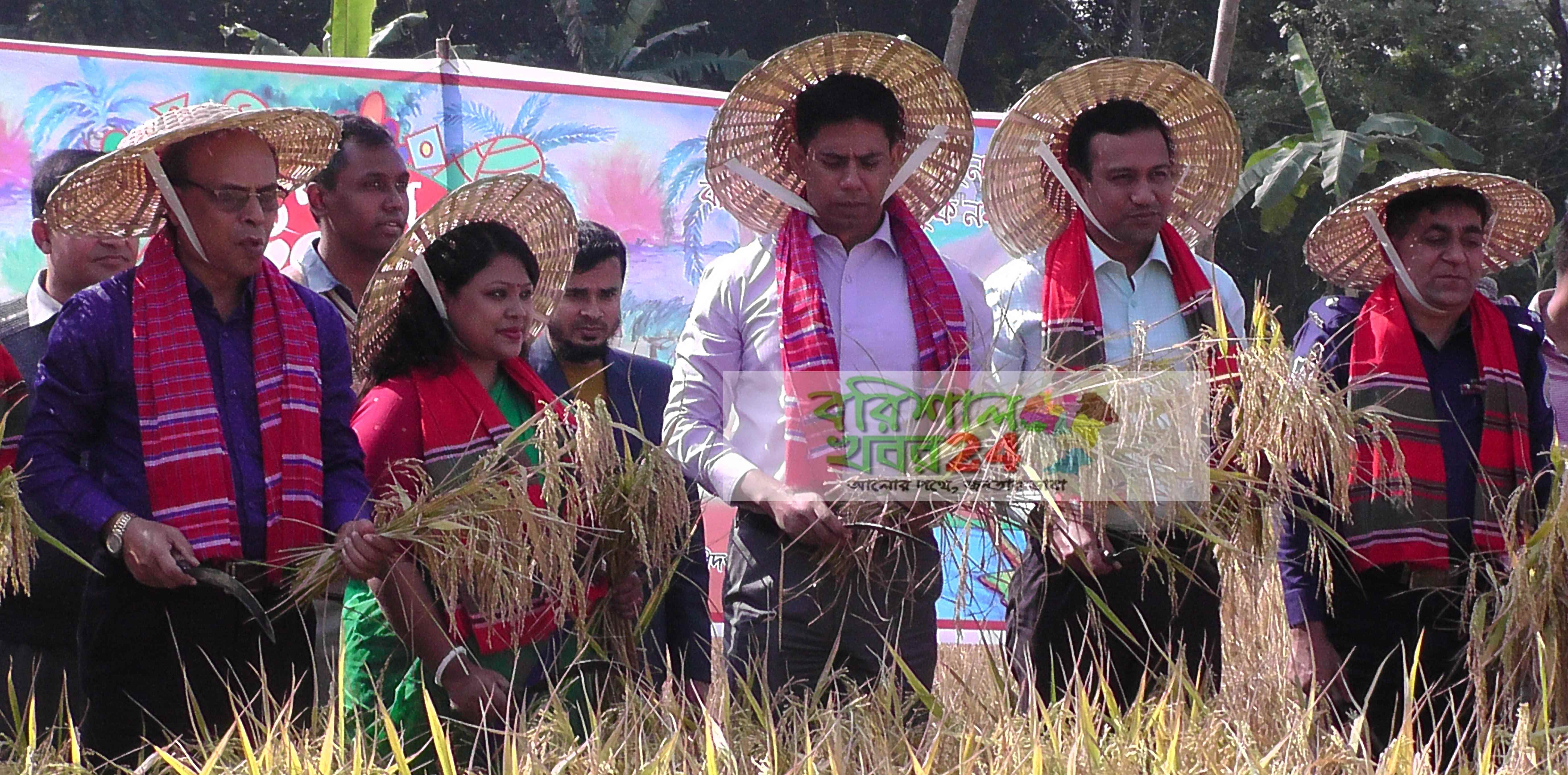 নানা কর্মসূচির মধ্য দিয়ে  দশমিনায় নবান্ন উৎসব পালিত