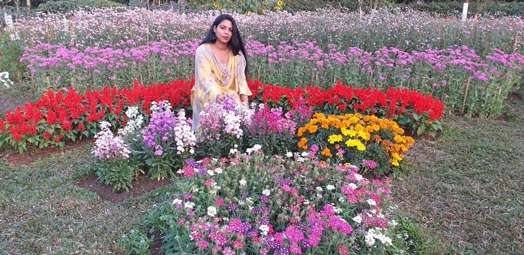 দুর্গম পাহাড়ের গভীর অরণ্যে ফুলের বাগান : চোখ জুড়ানো সুখ