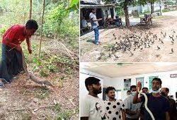 মানবতার ফেরীআলা ঝিনাইদহের মারুফ