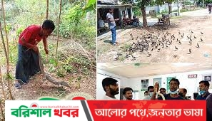 মানবতার ফেরীআলা ঝিনাইদহের মারুফ
