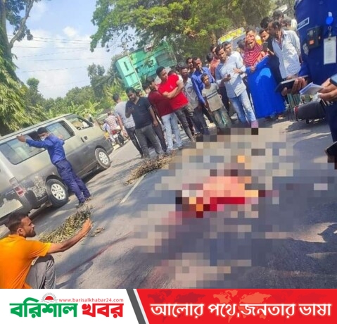 ঝিকরগাছায় ট্রাকের ধাক্কায় মোটরসাইকেল আরোহী নিহত