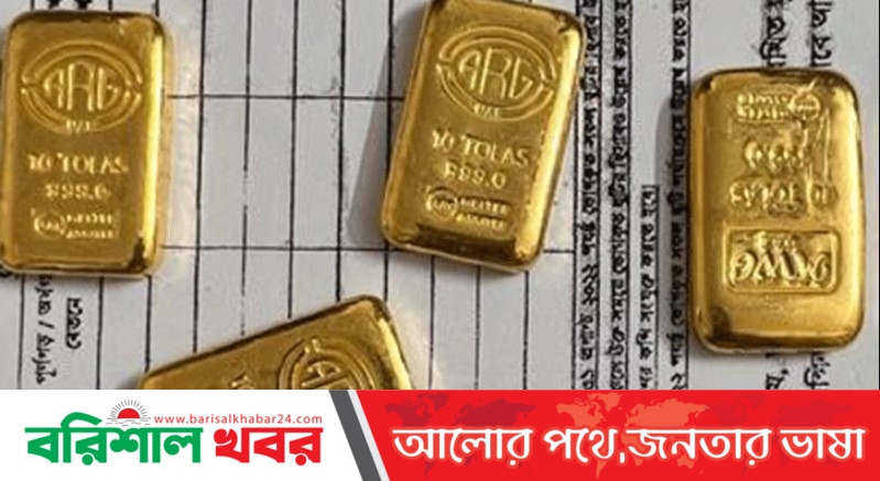 শার্শার গোড়পাড়া সীমান্তে সোয়া ৫ কোটি টাকার স্বর্ণ জব্দ