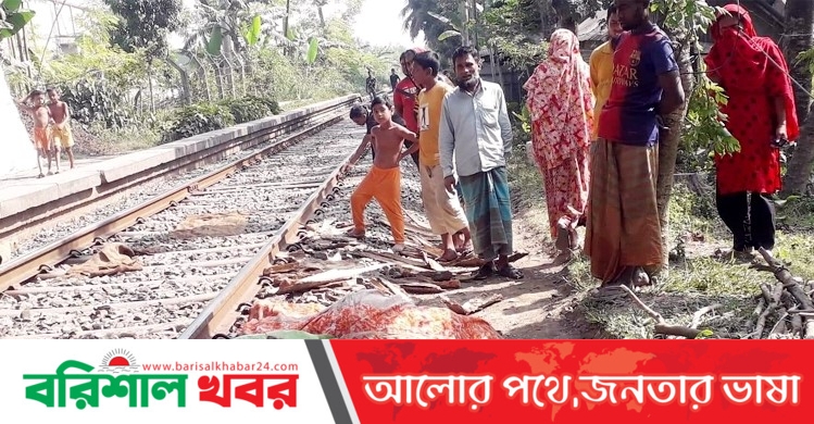যশোরের অভয়নগরে ট্রেনে কাটা পড়ে বৃদ্ধার মৃত্যু