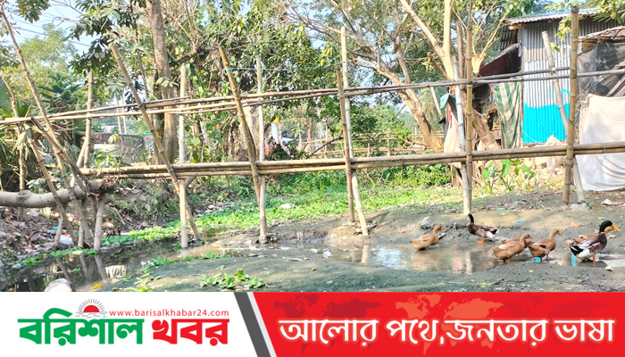 ভরাট হচ্ছে বরিশালের লাকুটিয়া খাল