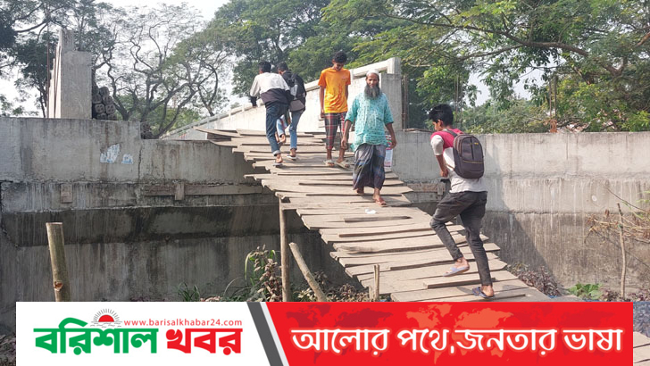 ৩ কোটি টাকার সেতুতে উঠতে ৩০ ফুট মই!