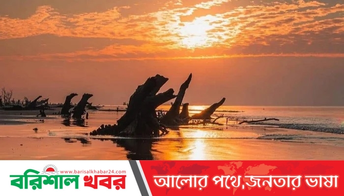 কুয়াকাটায় নারী পর্যটকের ঝুলন্ত মরদেহ উদ্ধার