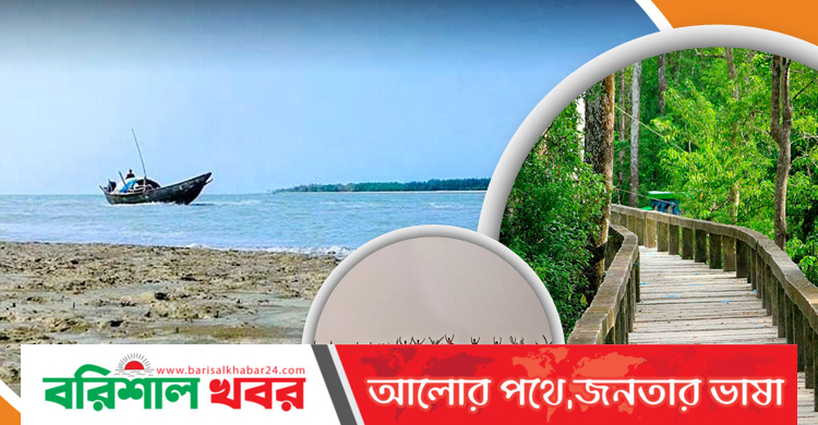 অপরূপ সৌন্দর্যের ইকোপার্ক সোনাকাটা