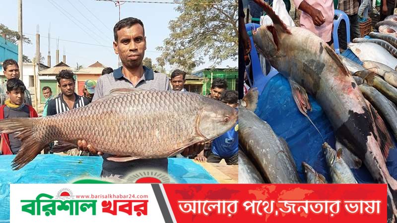 হবিগঞ্জে মাছের মেলায় সোয়া ২ কোটি টাকার বেচাকেনা