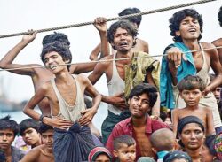 মাজলুমের আর্তনাদে ইসলামের নির্দেশনা