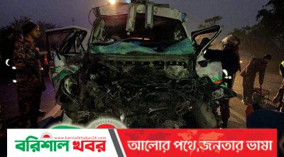 জাজিরায় সড়ক দুর্ঘটনায় বরিশালের রাব্বিসহ নিহত ৬