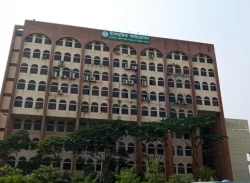 ইসলামিক ফাউন্ডেশনে ২১ পদে চাকরির সুযোগ