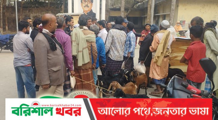 বাবুগঞ্জে ছাগল বিতরণে অনিয়মের অভিযোগ