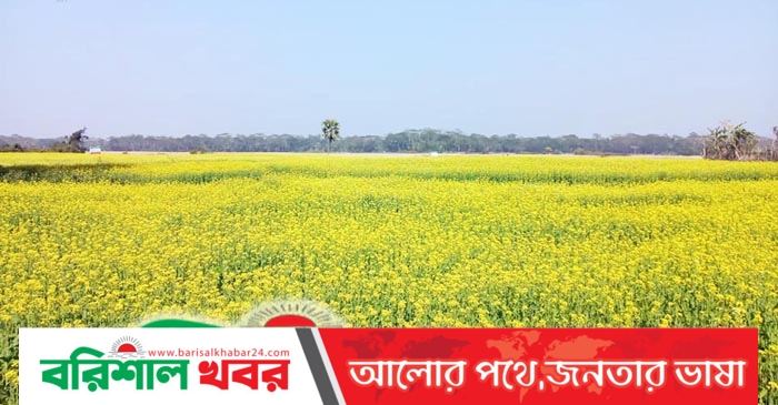 হলদে ফুলের সমাহার, খুশি কৃষক