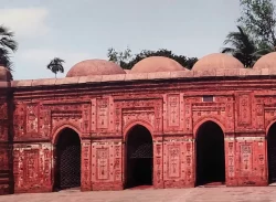 জৌলুস হারাচ্ছে বাঘা জাদুঘর