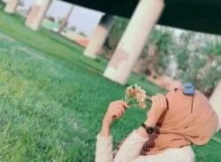 ভাবনাতে সংশয়:নাসরীন জাহান