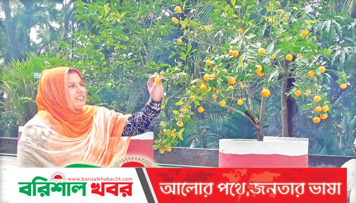 ছাদ বাগান সবুজে সেজেছে স্কুল