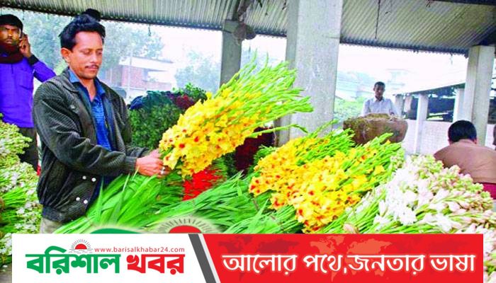 ঘুরে আসুন ‌`ফুলের রাজধানী` গদখালী