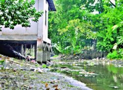 দখল-দূষণে মৃতপ্রায় বরিশালের ২২ খাল