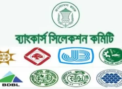 সরকারি ব্যাংকে বড় নিয়োগ, পদ ৬৪৬৪