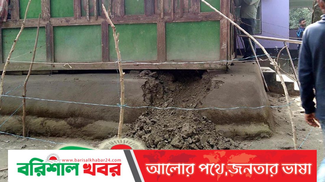 বাবুগঞ্জে নিজ ঘরে ২নারীকে পরিকল্পিতভাবে হত্যা না চোরের স্প্রেতে  মৃত্যু
