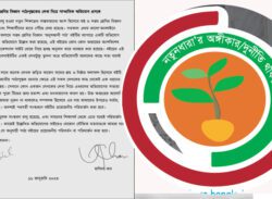 পাঠ্যপুস্তকে প্লেজারিজমের দায়ে শাস্তি দাবি নতুনধারার