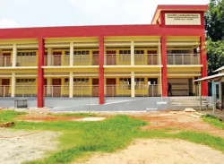 মোরেলগঞ্জ উপজেলায় ৬১ প্রাথমিক বিদ্যালয়ে নেই প্রধান শিক্ষক