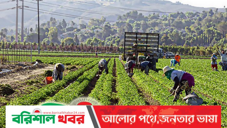 বাংলাদেশিসহ সাড়ে ৮২ হাজার শ্রমিক নেবে ইতালি