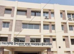 আমতলী উপজেলায়  টাকার জন্য ভাইকে বিষ খাইয়ে ঘেরে ফেলে দেন বোন