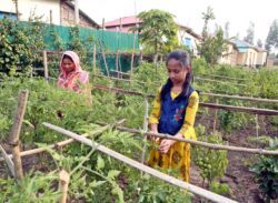 আশ্রয়ন প্রকল্পের বাড়ি পেয়ে ডাক্তার হওয়ার স্বপ্ন দেখছে ইভা