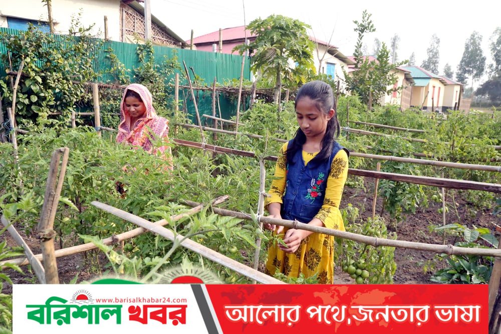 আশ্রয়ন প্রকল্পের বাড়ি পেয়ে ডাক্তার হওয়ার স্বপ্ন দেখছে ইভা
