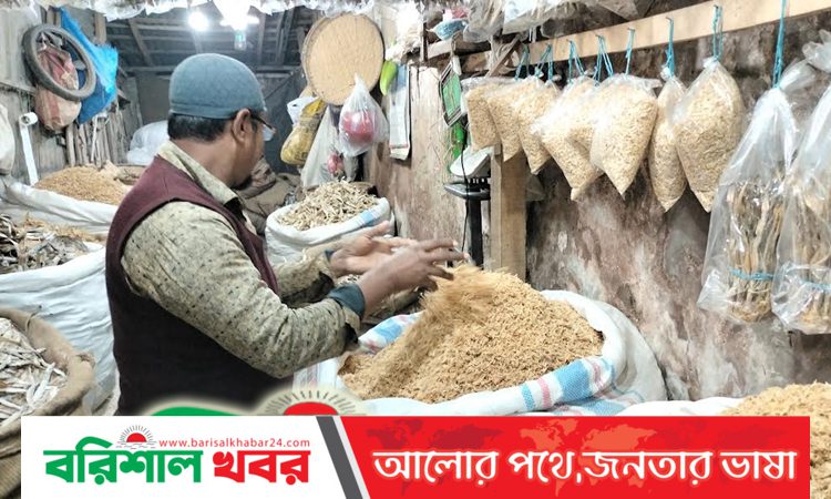 ভোলায় কয়েক গুণ বেড়েছে শুটকির বাজার