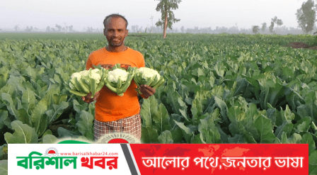 ফুলকপি চাষে সফলতার স্বপ্ন বুনছেন জয়পুরহাটের কৃষক এনামুল