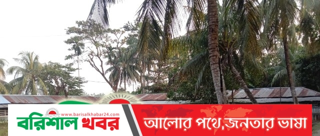 মঠবাড়িয়ায় সুপারের অনিয়ম ও স্বেচ্ছাচারিতায় একটি  দ্বীনি প্রতিষ্ঠান ধ্বংসের মুখে