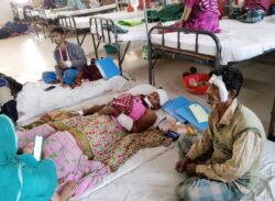 বাবুগঞ্জে কলা গাছ খাওয়াকে কেন্দ্র করে হামলায় আহত-৫