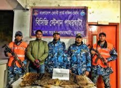 বরগুনা পাথরঘাটায় দু’টি চিত্রা হরিণের চামড়া উদ্ধার