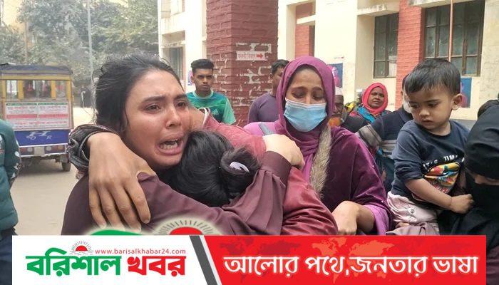 মায়ের চিকিৎসার জন্য দেশে এসে প্রাণ হারালেন মেয়ে : ওদের দায়িত্ব কার কাছে দেব