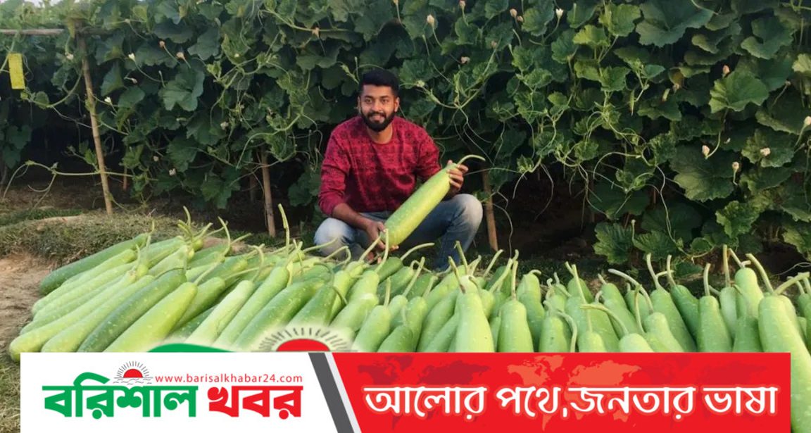 সবজি চাষে দুই যুবকের সাফল্য