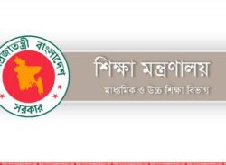এমপিওভুক্ত শিক্ষা প্রতিষ্ঠান আসছে জবাবদিহিতার আওতায় : হচ্ছে নীতিমালা