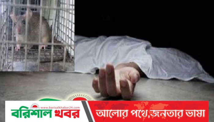 ইঁদুর মারার ফাঁদে আটকে কৃষকের মৃত্যু