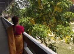 অকৃতি অধম : মাহবুবা ফারুক
