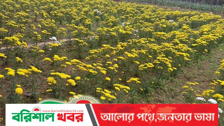 তাদের মুখে হাঁসি