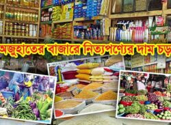 নিত্যপণ্যের দাম বেড়েই চলেছে
