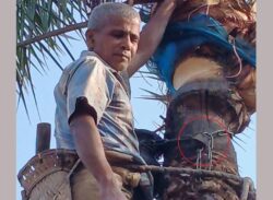 আগৈলঝাড়ায় রসের হাঁড়িতে তালা!