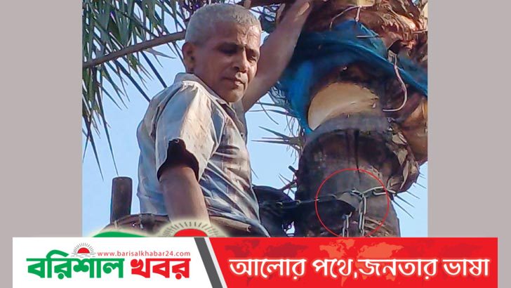 আগৈলঝাড়ায় রসের হাঁড়িতে তালা!