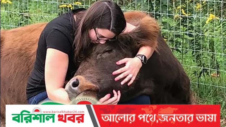 ভালোবাসা দিবসে গরুকে আলিঙ্গনের নির্দেশ!