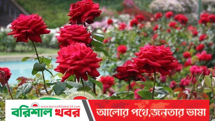 ভালোবাসার মাসে প্রেমিকের কাণ্ড!