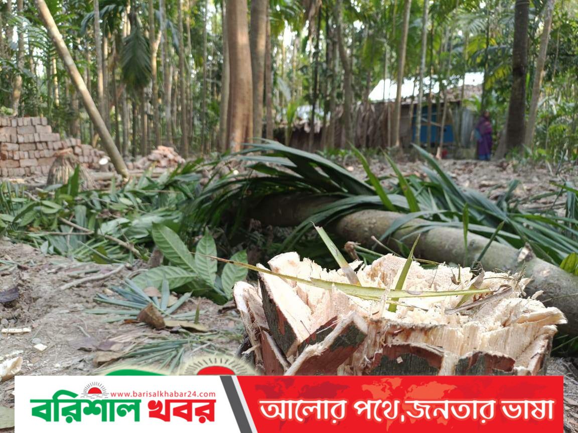 ঝালকাঠিতে ভাইয়ের বিরুদ্ধে বোনের জমি দখলের চেষ্টার অভিযোগ
