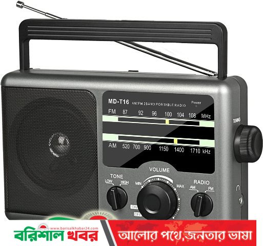 বিশ্ব রেডিও দিবস